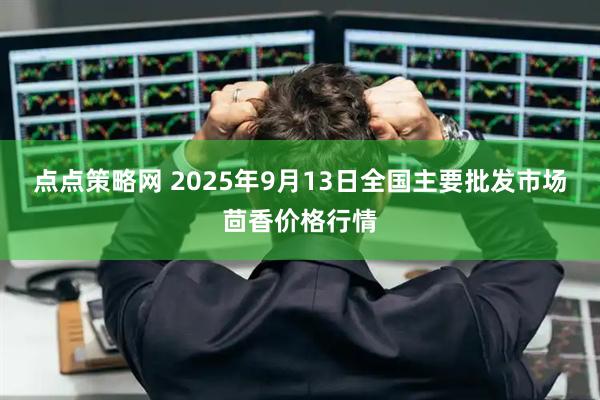 点点策略网 2025年9月13日全国主要批发市场茴香价格行情