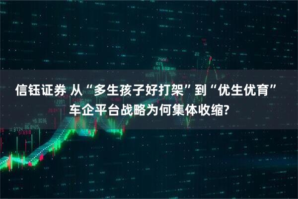 信钰证券 从“多生孩子好打架”到“优生优育” 车企平台战略为何集体收缩?