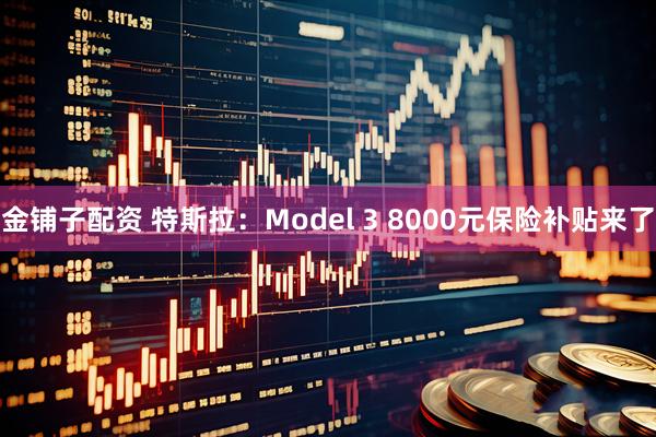 金铺子配资 特斯拉：Model 3 8000元保险补贴来了