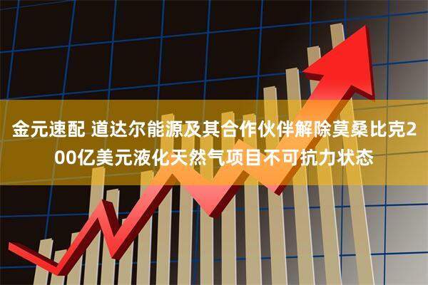 金元速配 道达尔能源及其合作伙伴解除莫桑比克200亿美元液化天然气项目不可抗力状态